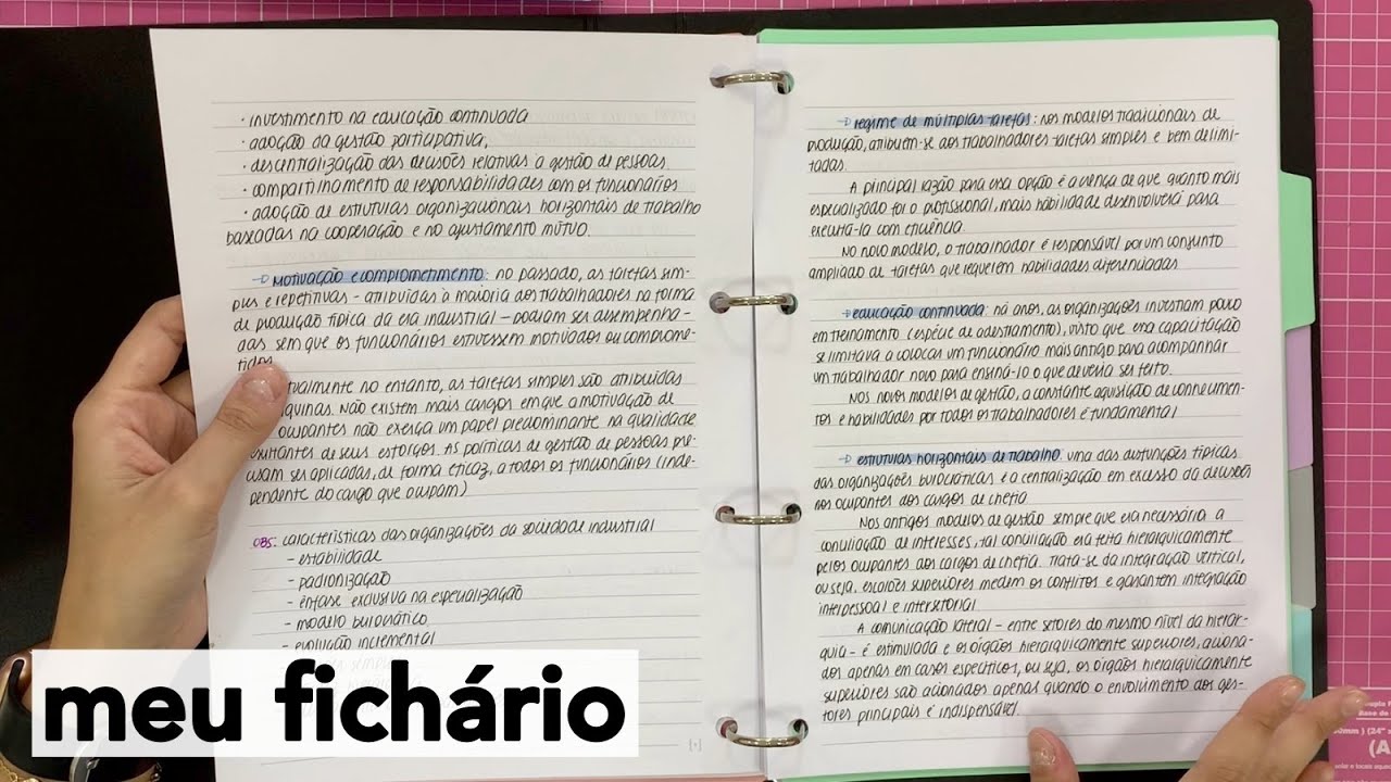 Como eu organizo meu fichário + dicas para organizar e decorar o seu