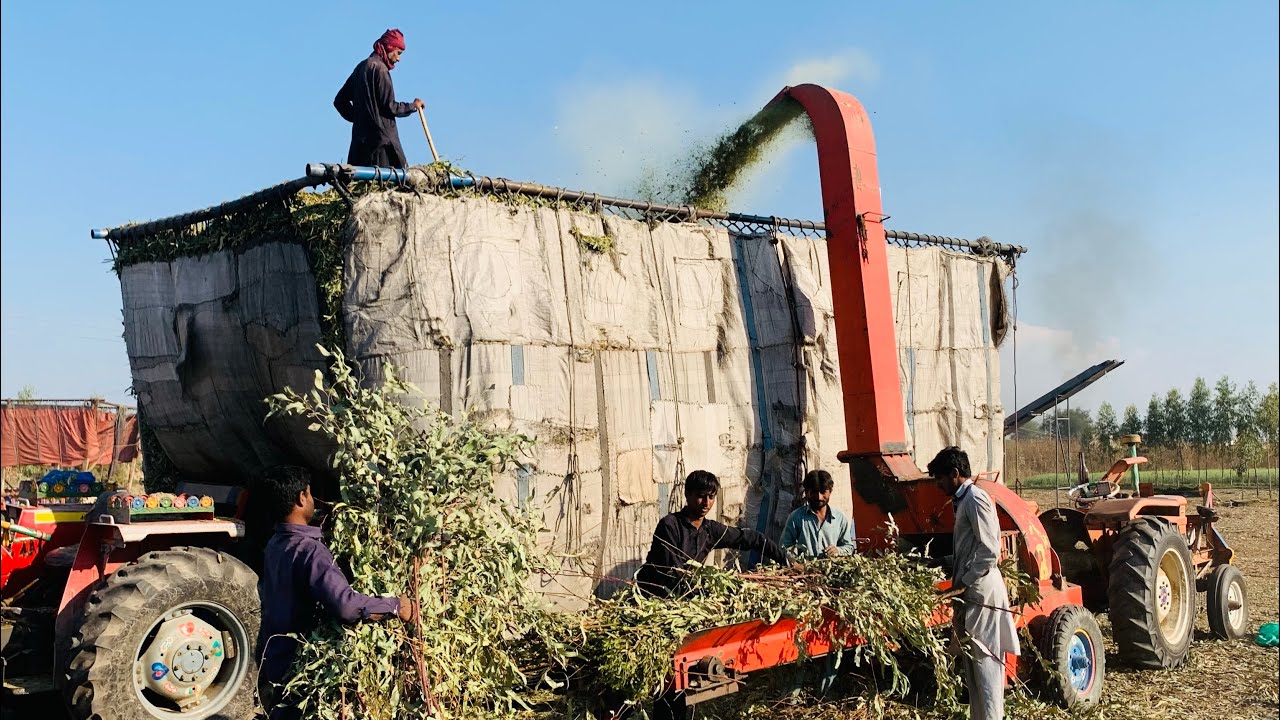 Wood crusher || latest wood crushing machine in punjab Pakistan