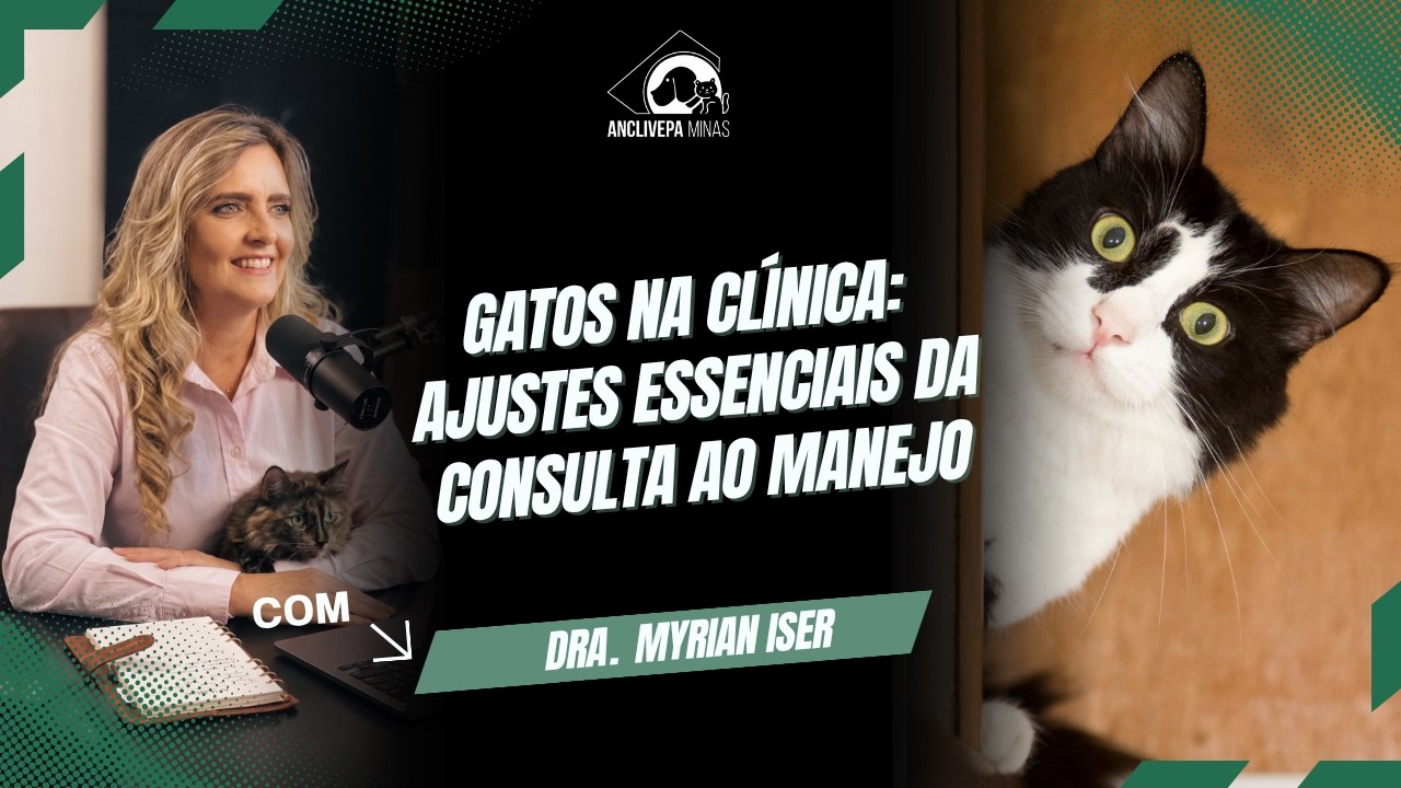 Gatos na Clínica