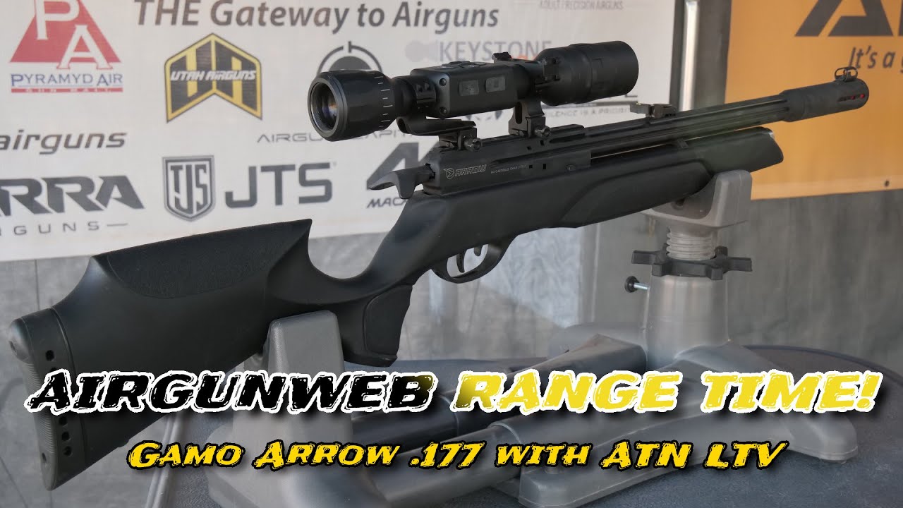 The Gamo Arrow .177 PCP - Affordable, FUN backyard airgun for target practice, plinking, and pesting