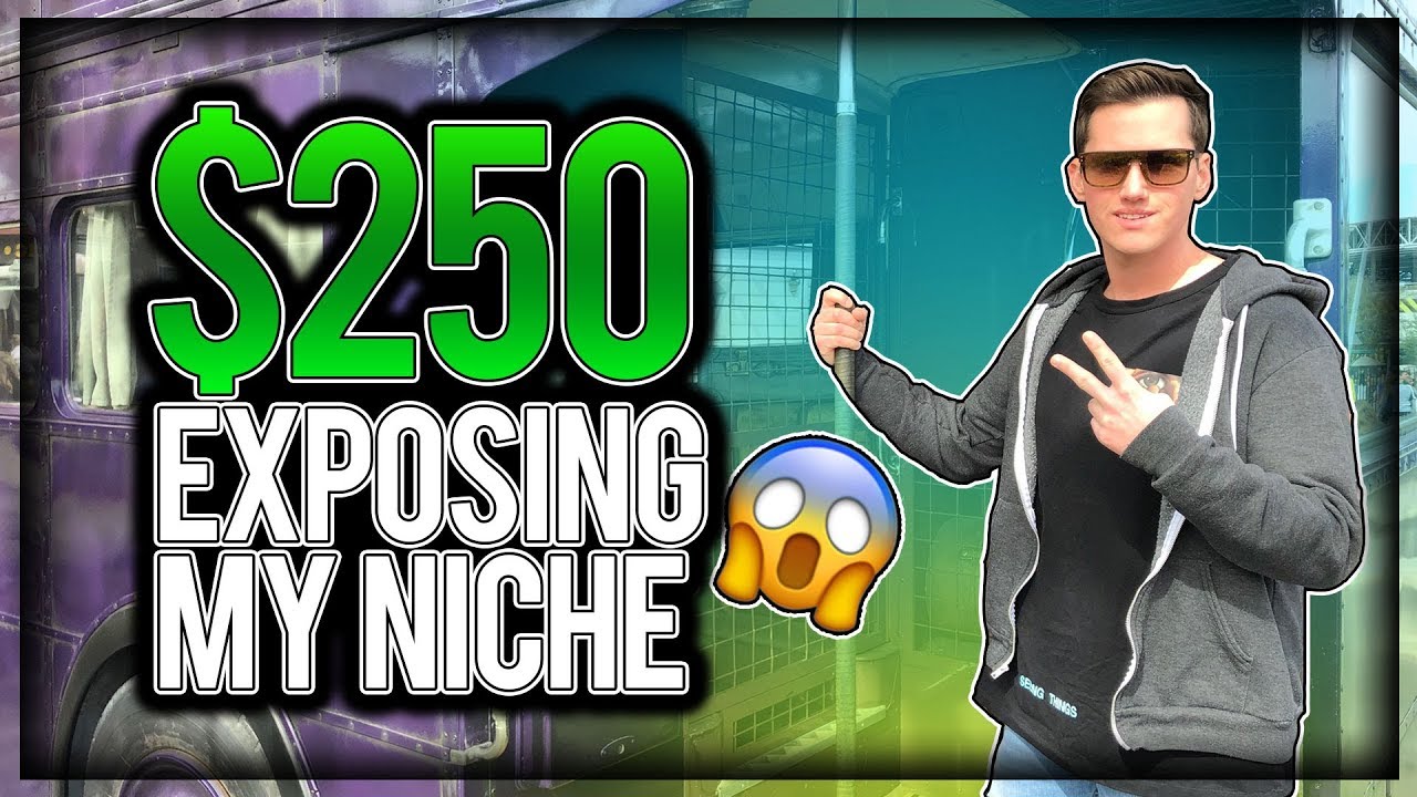 How To Make $250 Per Day Online (NICHE EXPOSED)