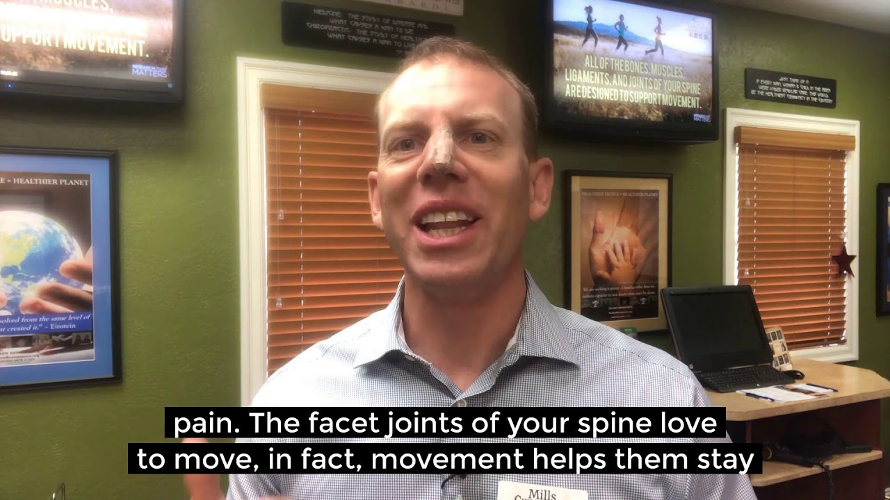 Facet joints, gliding your way to better health