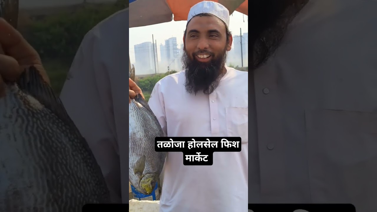 #taloja #wholesalefishmarket #fishmarket #talojafishmarket #fishlover #seafood #navimumbai #fish