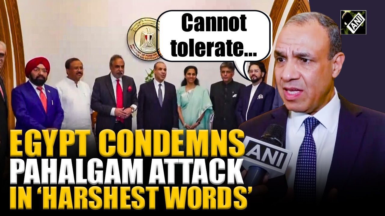 Egypt FM condemns Pahalgam attack on civilians after meeting Supriya Sule-led delegation in Cairo