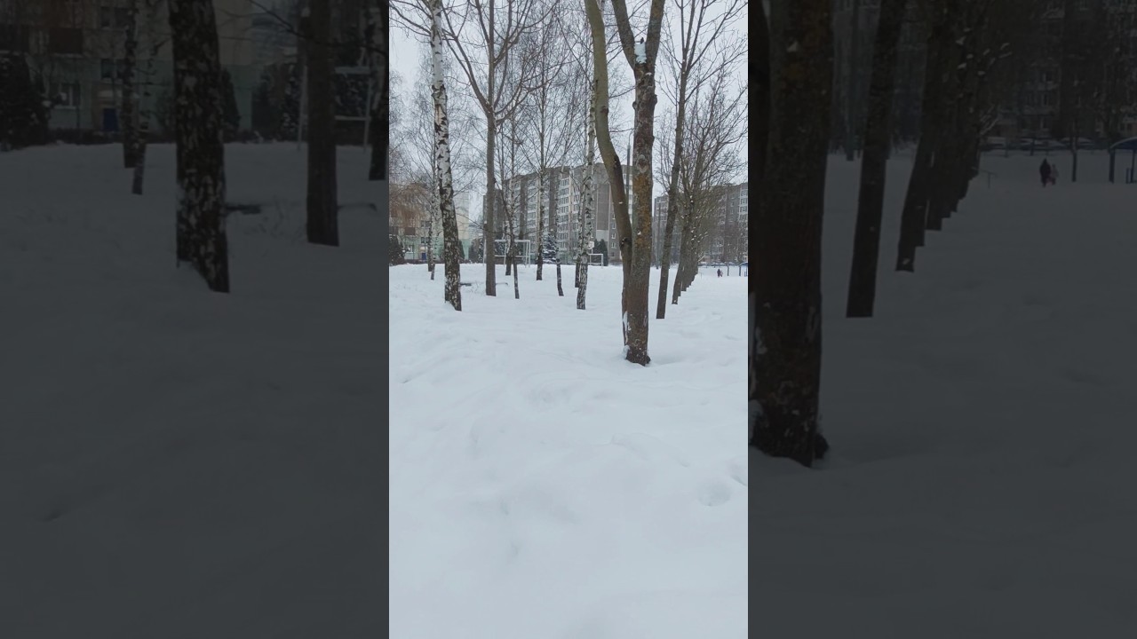 114. Впервые вижу лыжника за месяц снежной красоты. Минск. Январь 2026.