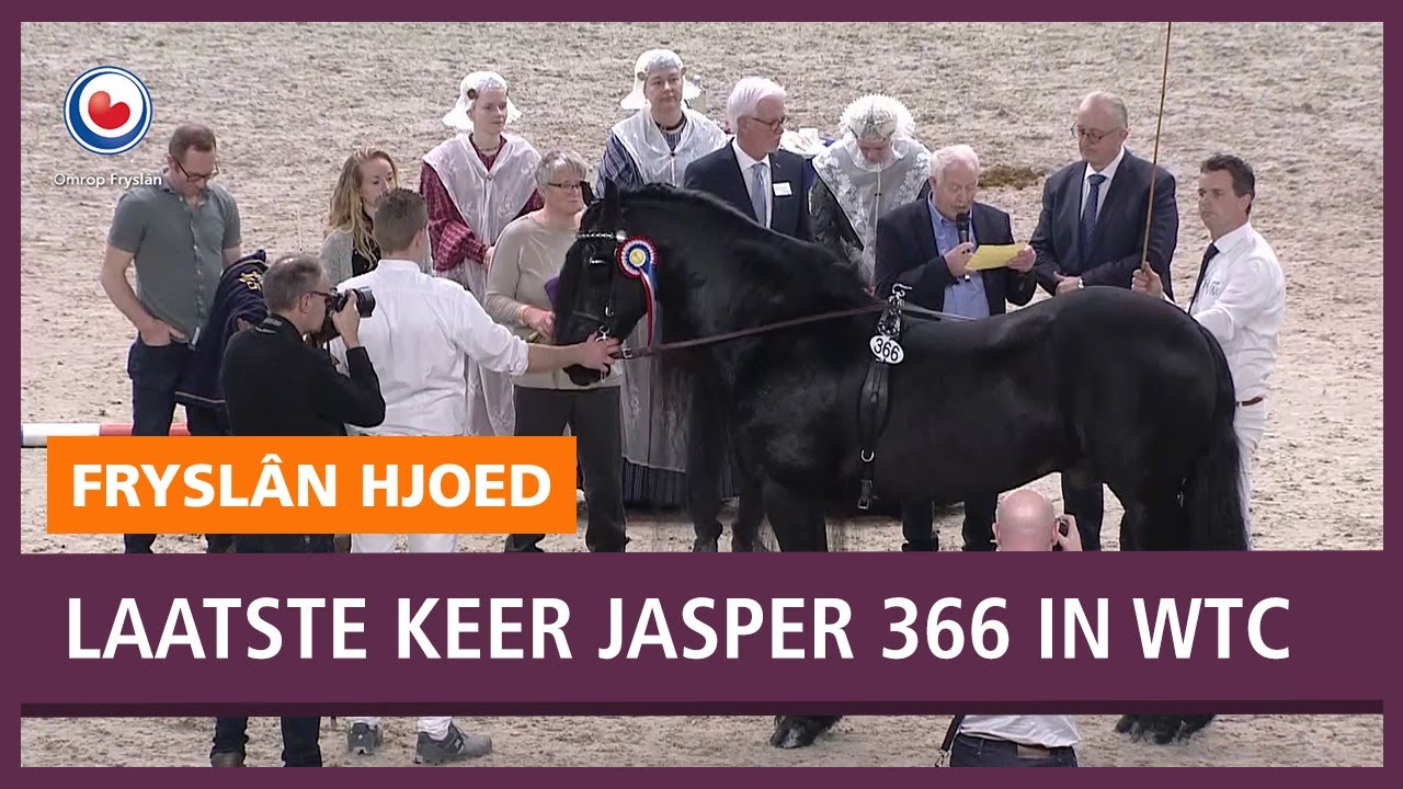 HENGSTENKEURING: Huldiging voor Jasper 366