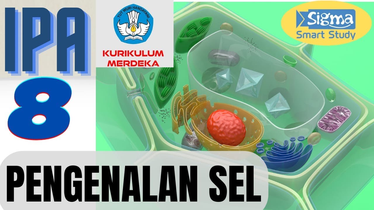 PENGENALAN SEL - IPA KELAS 8 SMP KURIKULUM MERDEKA