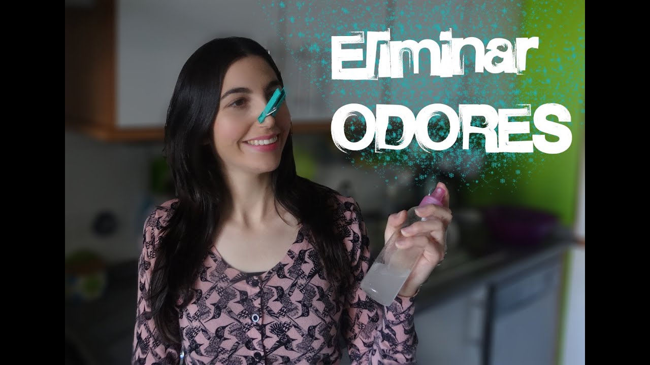 Ambientadores para Eliminar Odores