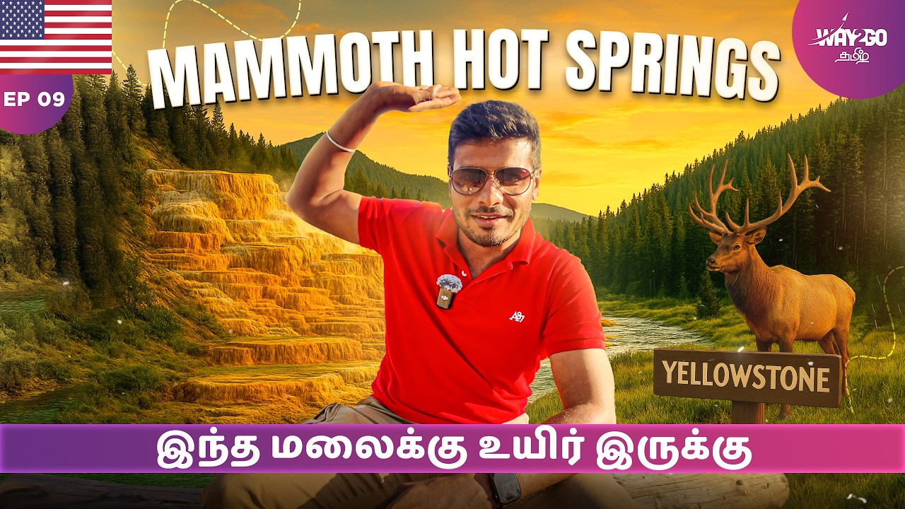 அமெரிக்காவில் உருவத்தை மாற்றும் அதிசய மலை 🏞️ | Mammoth Hot Springs | Yellowstone | Ep 9