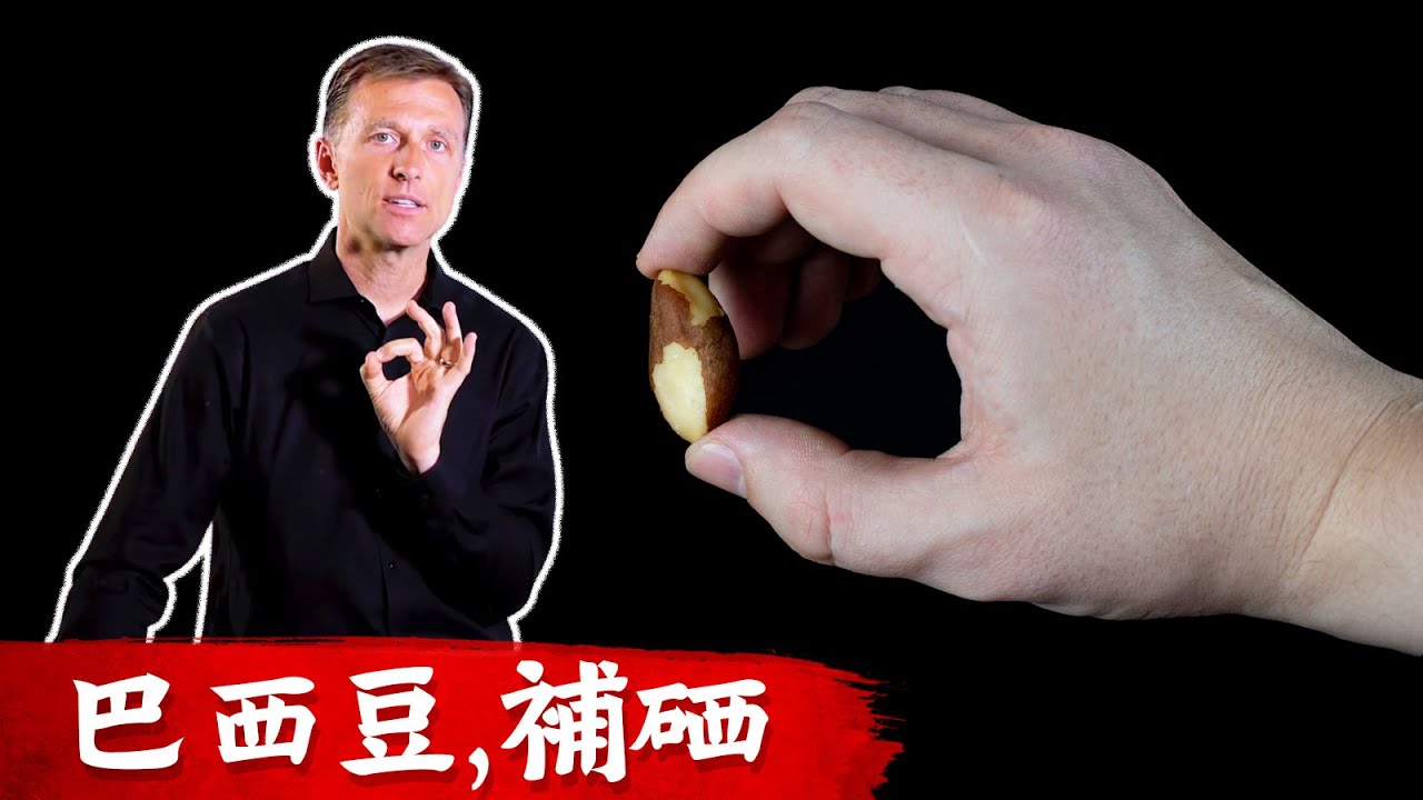 每天吃一顆巴西豆,補微量元素硒,柏格醫生 Dr Berg