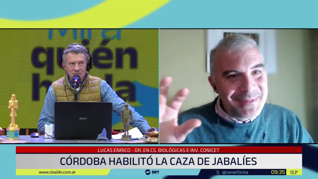 Se autorizó la caza deportiva de ciervos y jabalíes en Córdoba | MIRÁ QUIEN HABLA