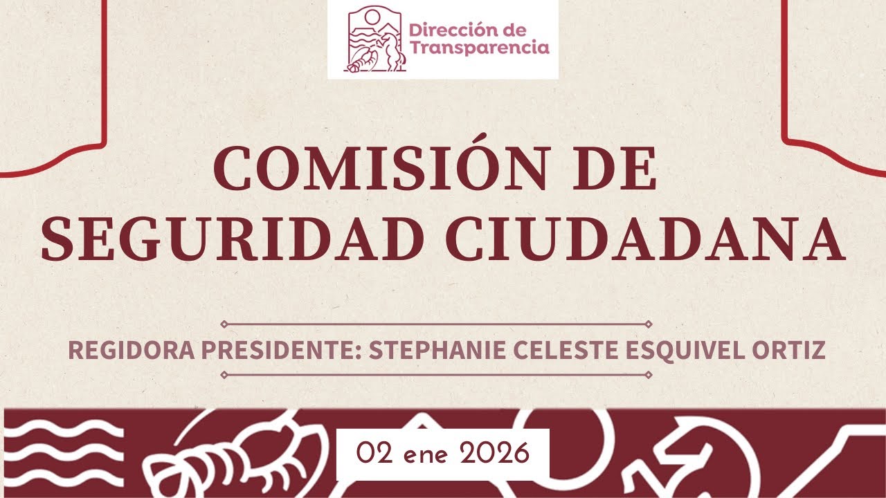 COMISION DE SEGURIDAD CIUDADANA  2 ENE 2026