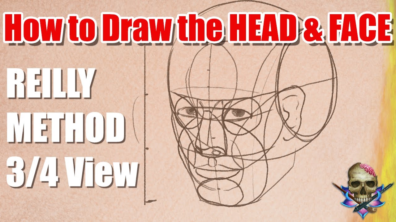 How to Draw the HEAD and FACE - REILLY METHOD  3/4 View - Art Tutorial