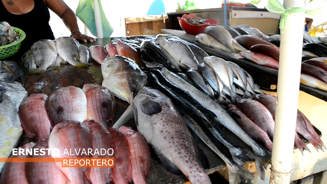 Gente de Valor: Venta de pescados en Playa las Hamacas, Acapulco.