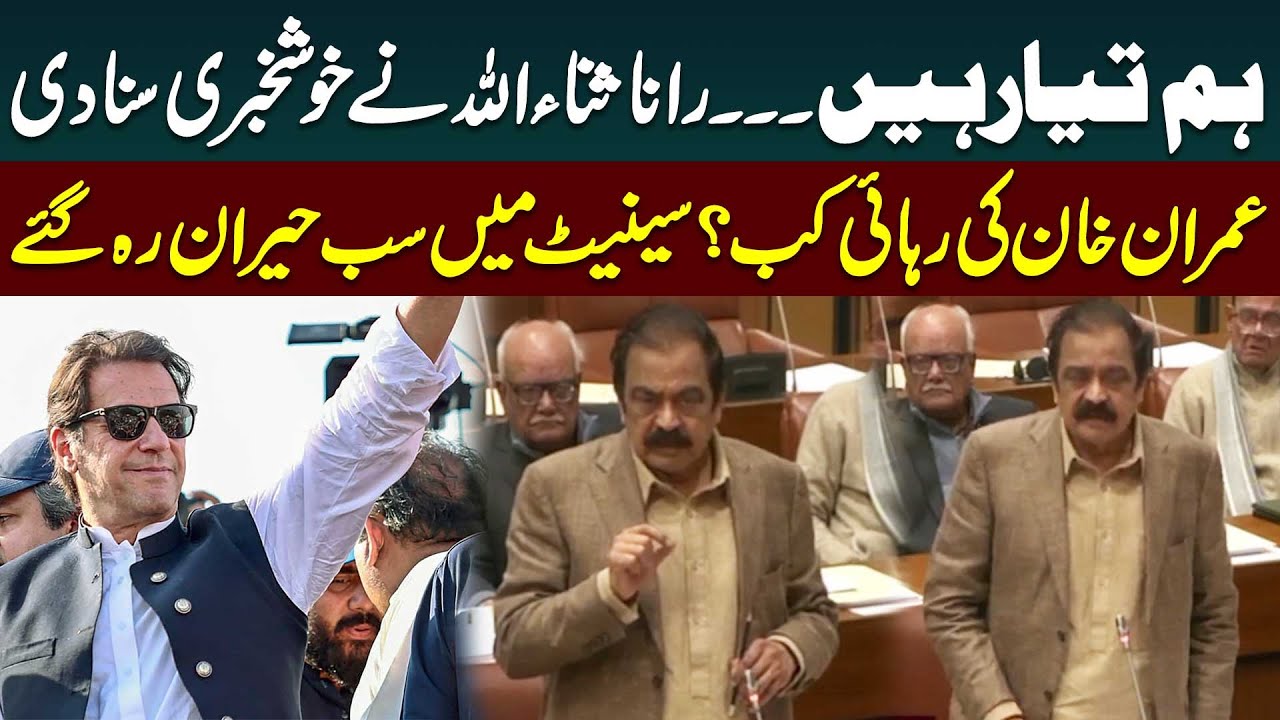 Rana Sanaullah's Big Statement about Imran Khan | Fiery Speech in Senate | Public News