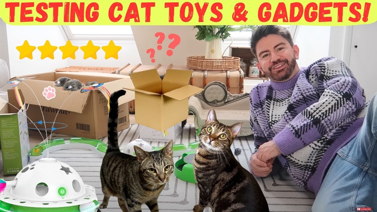 TESTING CAT TOYS & GADGETS with Pumpkin & Mittens! MR CARRINGTON