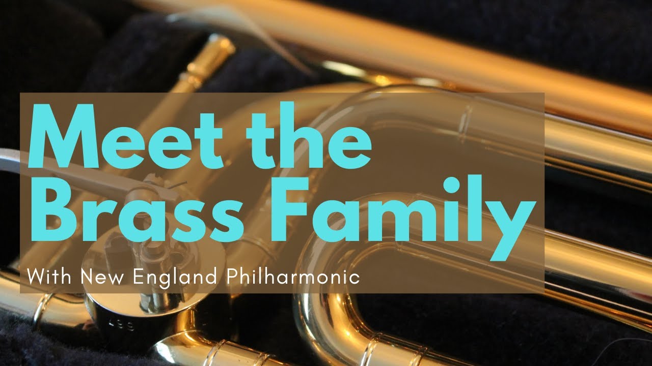 Brass Instruments for Kids with New England Philharmonic!