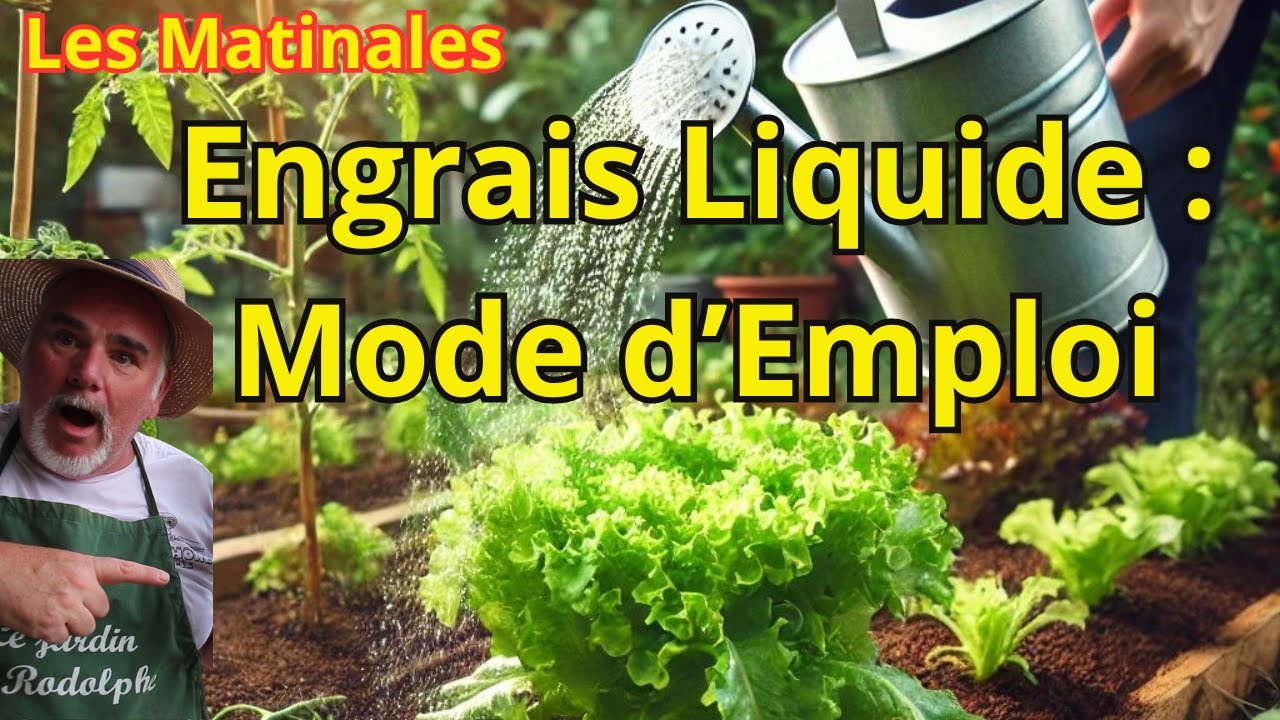 Comment Utiliser les Engrais Liquides pour un Potager Plus Productif?