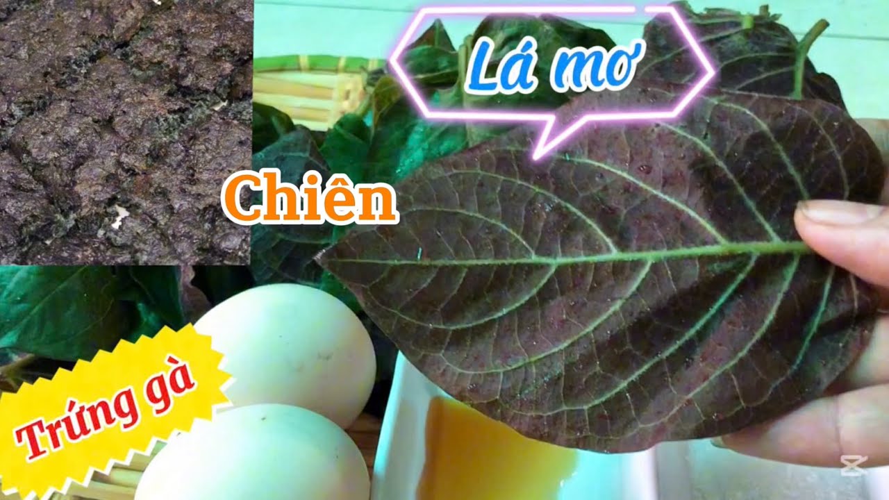 Cách làm trứng gà lá mơ tốt cho sức khoẻ/ ẩm thực view fam