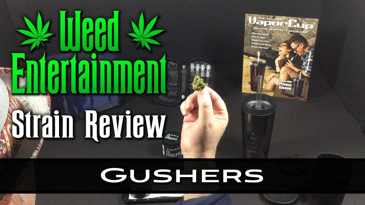 Gushers Just Plushers - Indica Hybrid - by Big Al's / Gas House - Strain Review -  Dr Greenthumb's