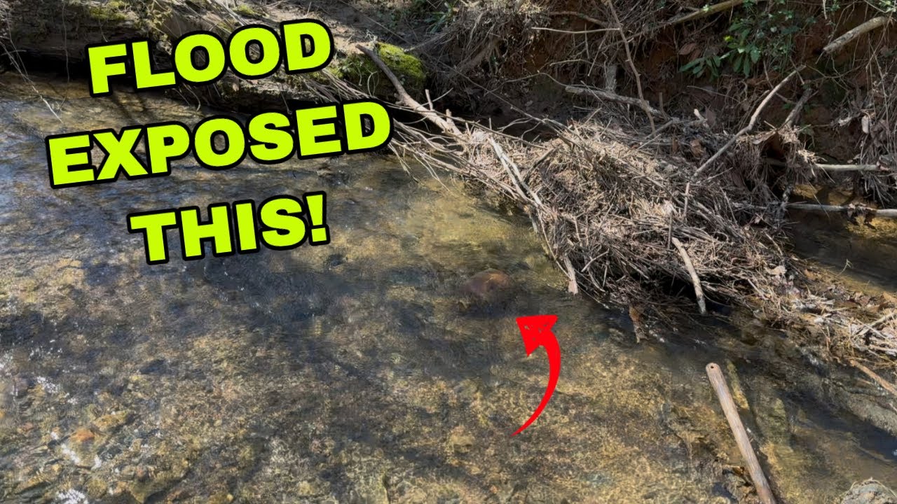 INSANE River Treasure FOUND in Ghost Town while Mudlarking AFTER FLOOD!