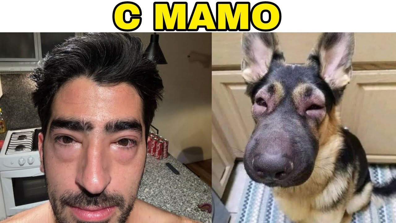 EL TIKTOKER MAS..... Rid&iacute;culo ? 