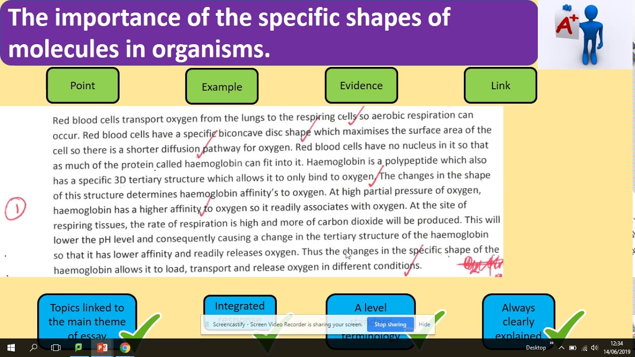 Essay. Example. AQA A level Biology