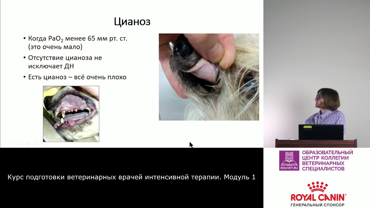 Триаж. Часть 1