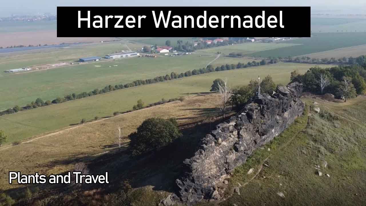Wie konnte das passieren - Harzer Wandernadel #1
