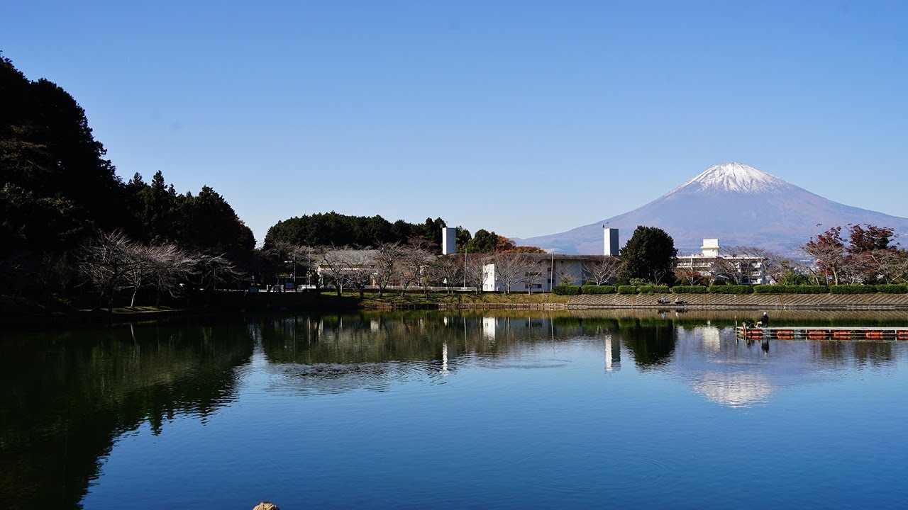 2025 箱根美術館　東山湖　紅葉が美しい !!