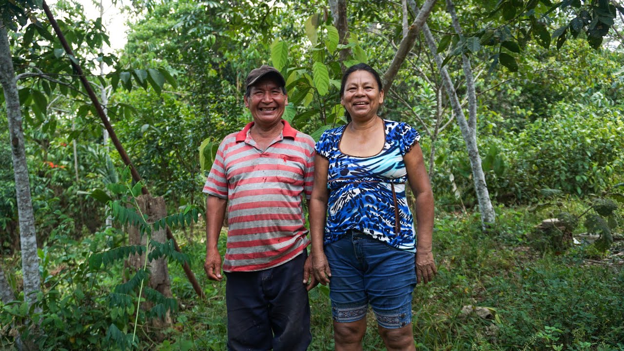 Permaculture in the Amazon - Antonio's Story
