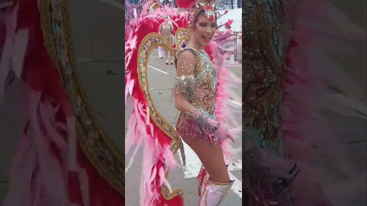 HERMOSA COMPARSA BUEN VESTUARIO PLUMAS SWING #carnavaldebarranquilla #viral #tendencia