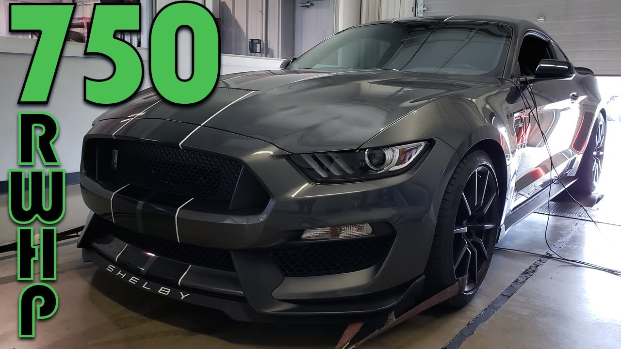 GT350 WHIPPLE SUPERCHARGER (STAGE 1) 750 rwhp Dyno at Brenspeed