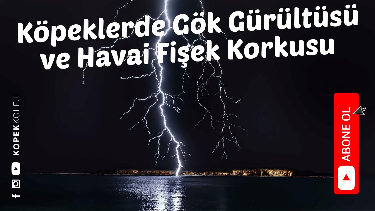 K&ouml;peklerde G&ouml;k G&uuml;r&uuml;lt&uuml;s&uuml; ve Havai Fişek Korkusu