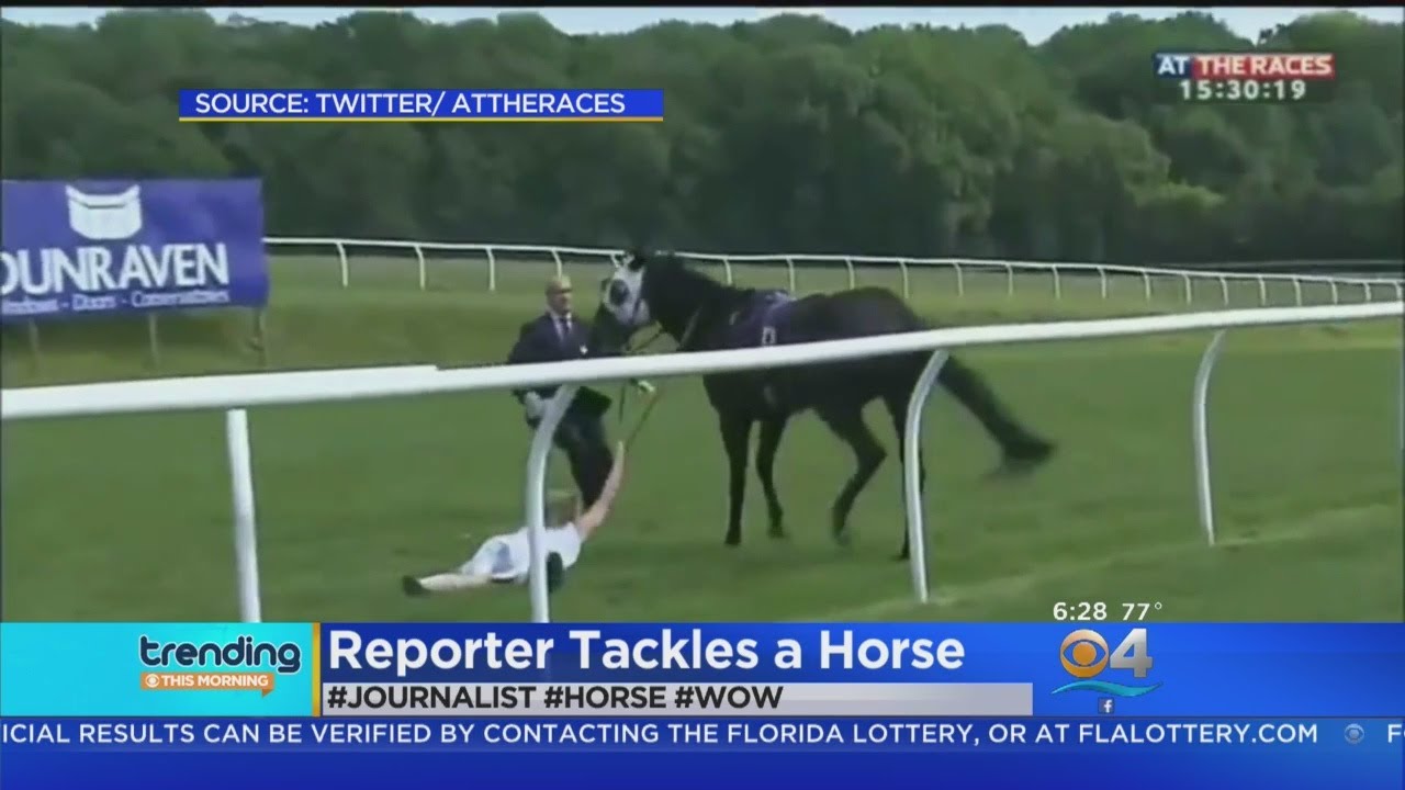 Trending: Reporter Stops Runaway Race Horse