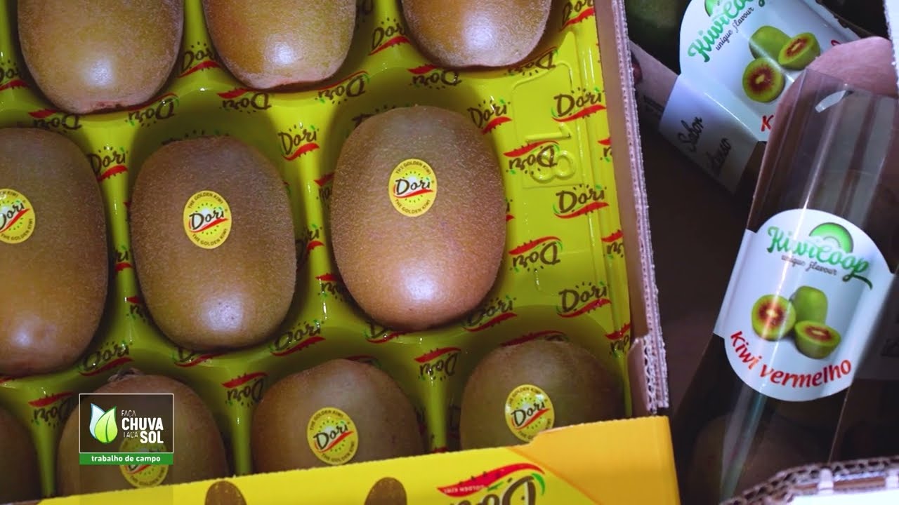 Reportagem Faça Chuva Faça Sol sobre a campanha do Kiwi