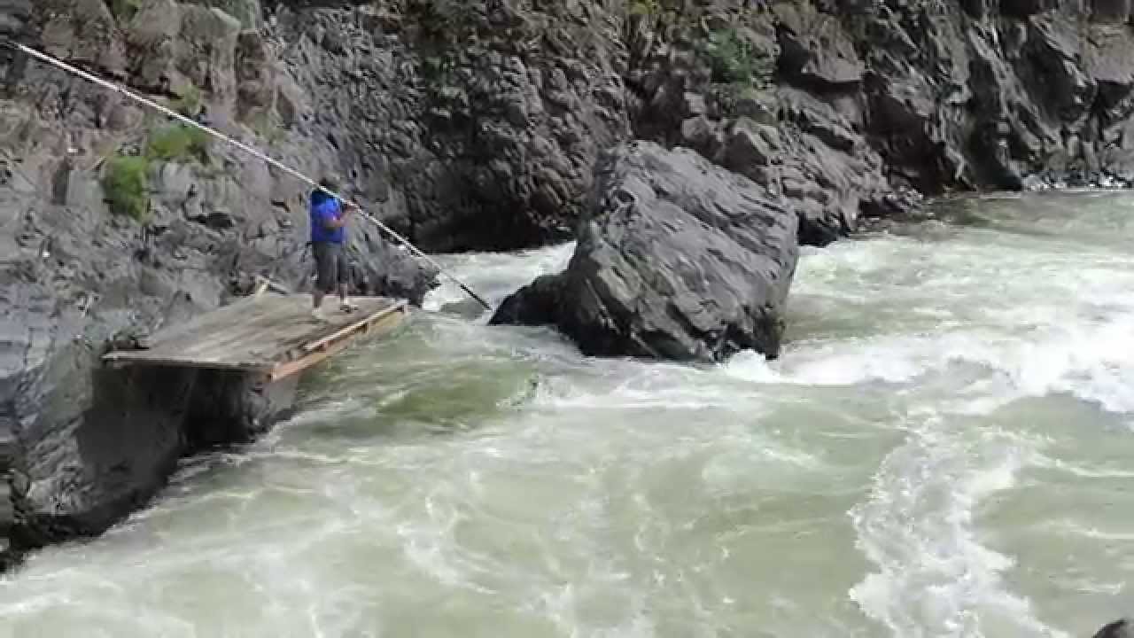 Spring chinook salmon dipnetter on Klickitat River