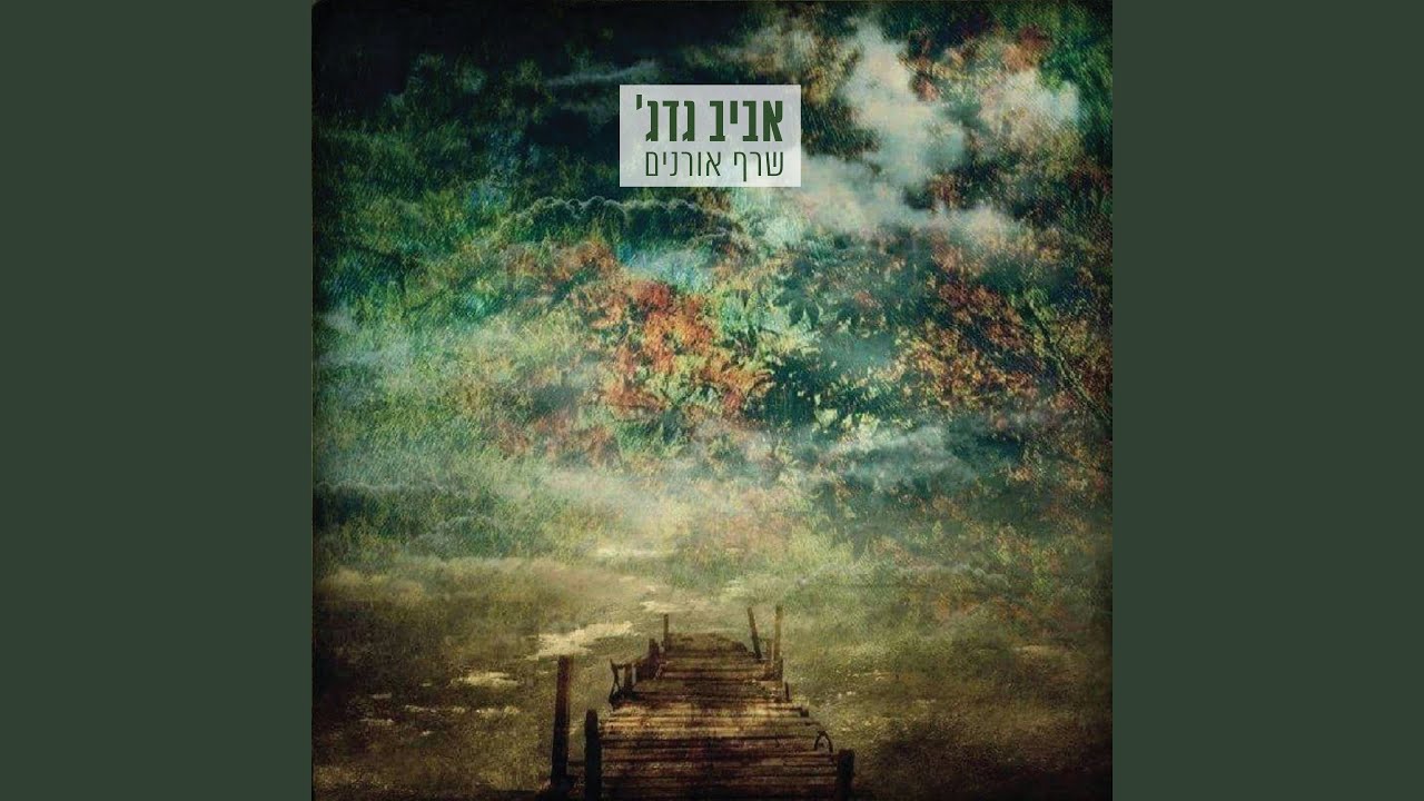 כמעט אמיתי