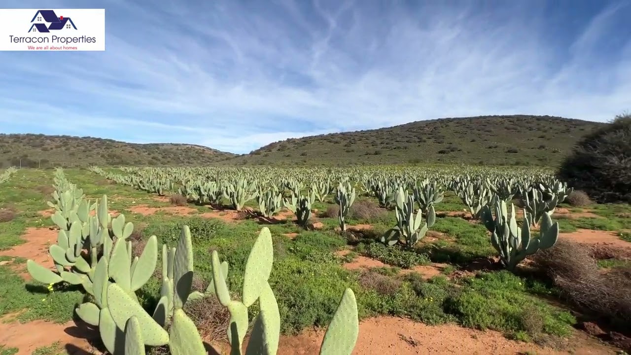 310Ha Farm For Sale Between George and Oudtshoorn - HD
