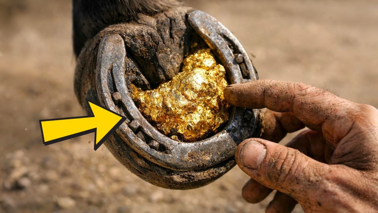 LO IBAN A VENDER AL MATADERO… PERO EL CABALLO ESCAPÓ Y REGRESÓ CON UNA MINA DE ORO…