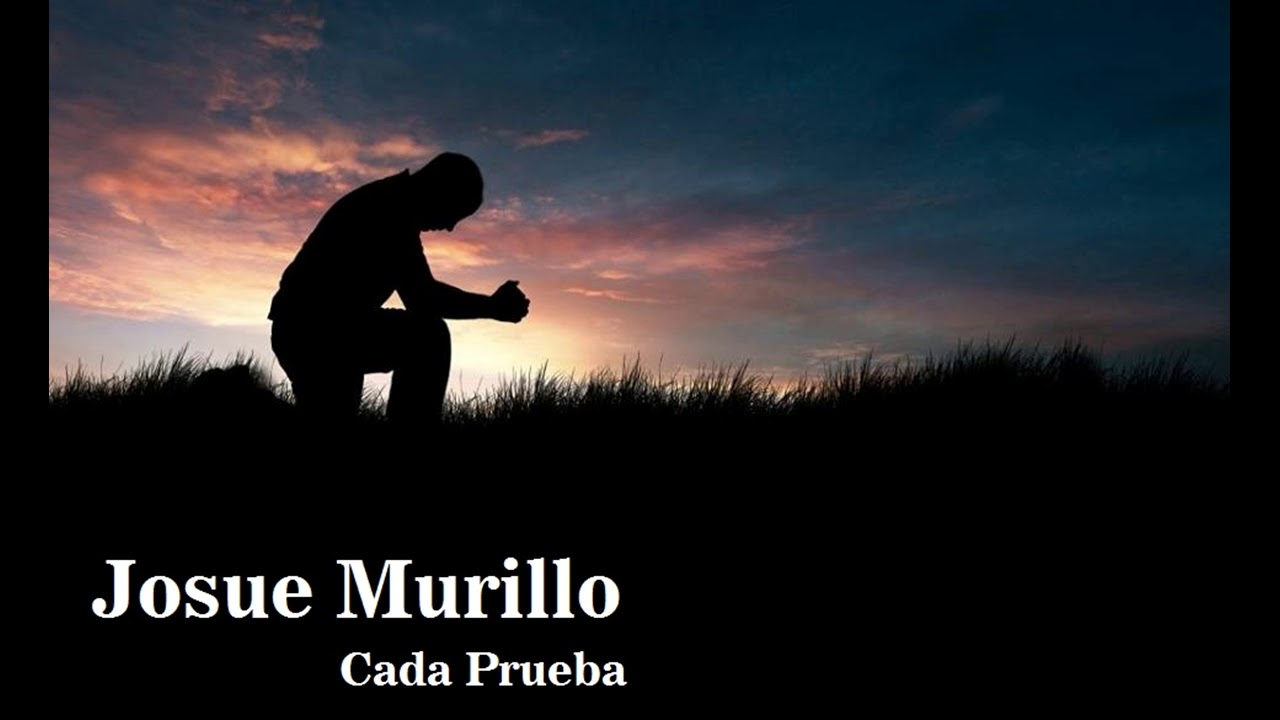 Cada Prueba
