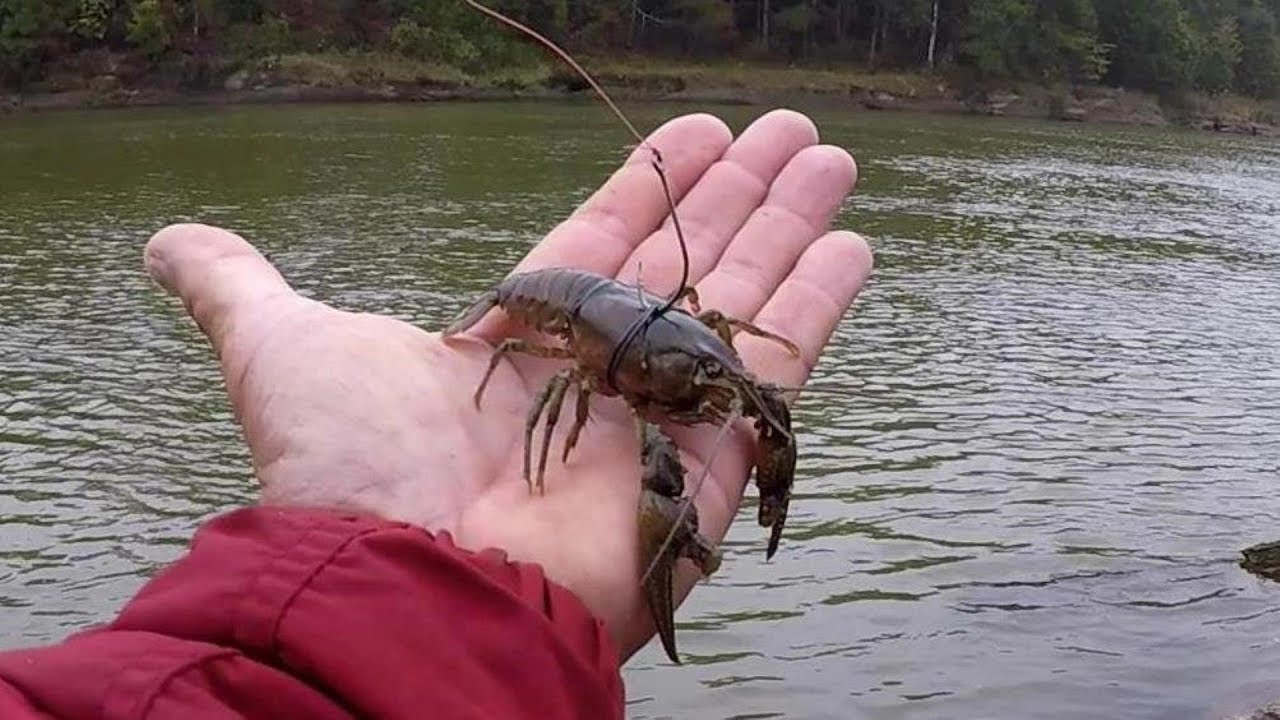 Fishing With Crawfish - Tips and Techniques