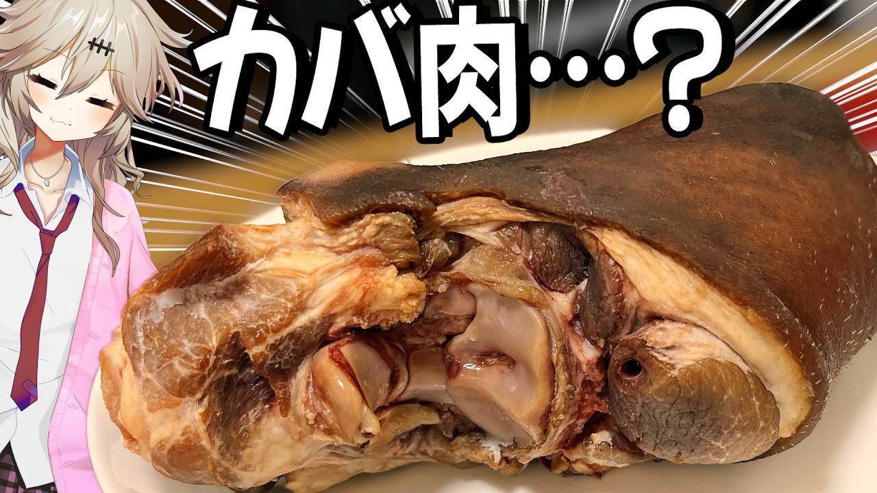 まるでカバ肉！？「ゲンコツハム」を作ってみた