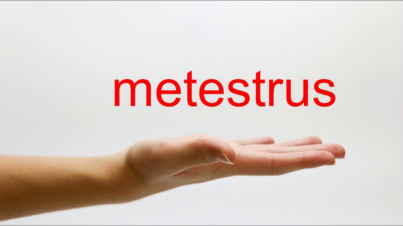 How to Pronounce metestrus - American English