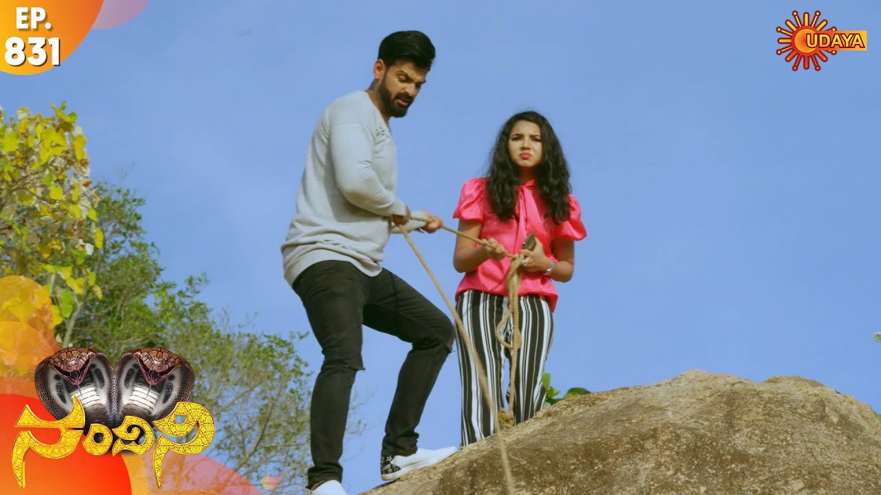 Nandini - Episode 831 | 27th Dec 19 | Udaya TV Serial | Kannada Serial