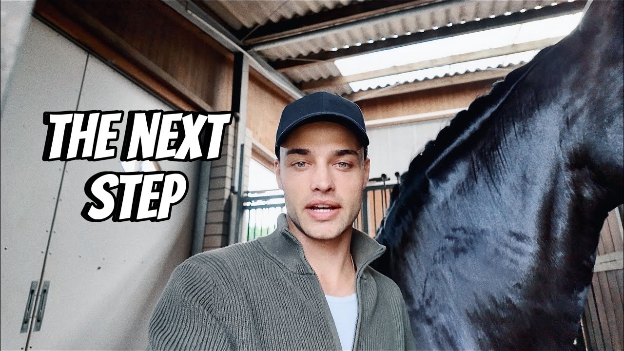 My young stallion is leaving...
