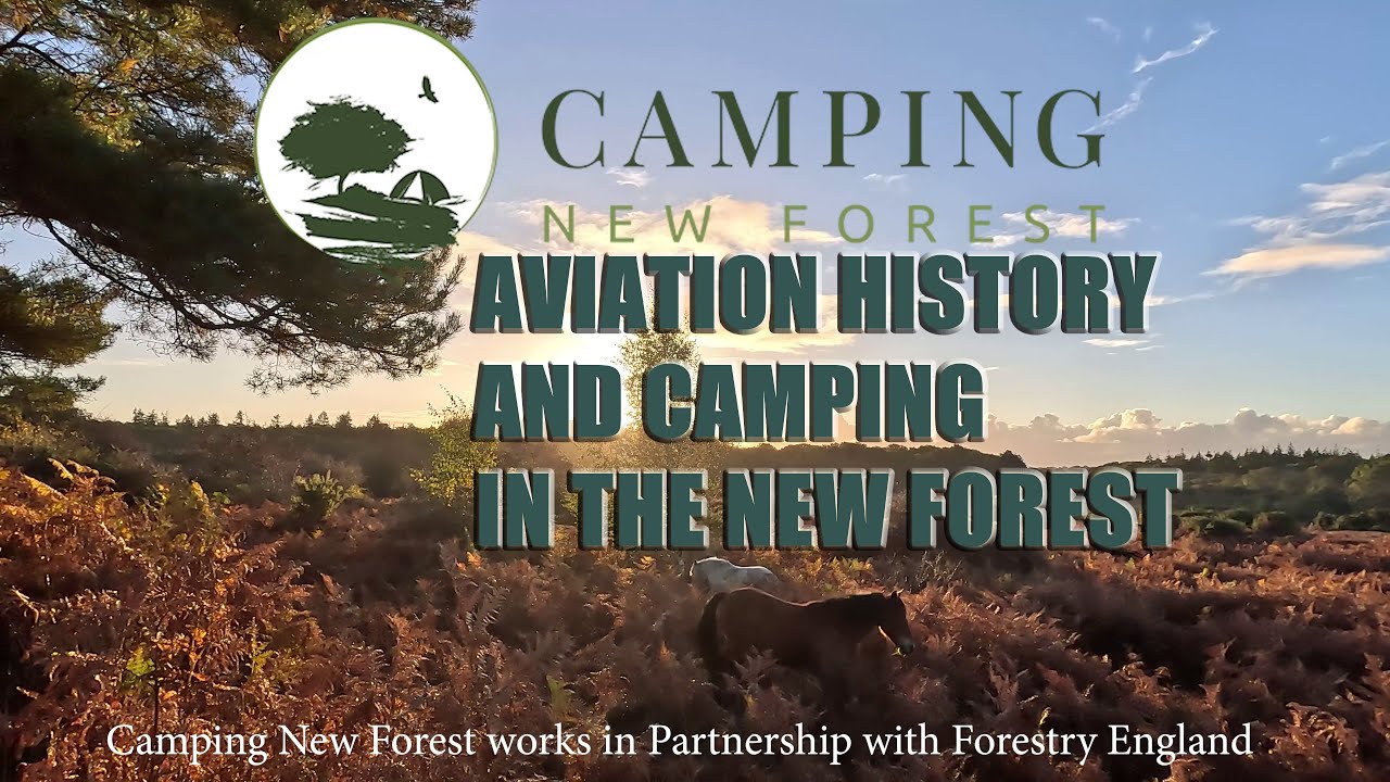 Camping New Forest: Discovering Holmsley’s Forgotten WWII Airfield