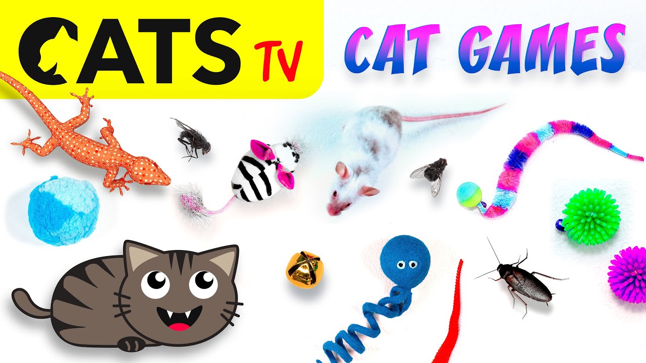 CAT TV 📺🪳 October Ultimate Compilation 🪰😻🐁 Best games for cats in 4K
