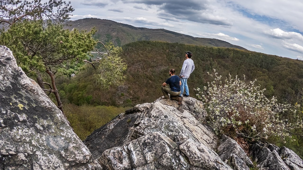 15km-Tour im Binger Wald (am Rhein) | Kreuzbachklamm, Steckeschlääferklamm und Klettersteig