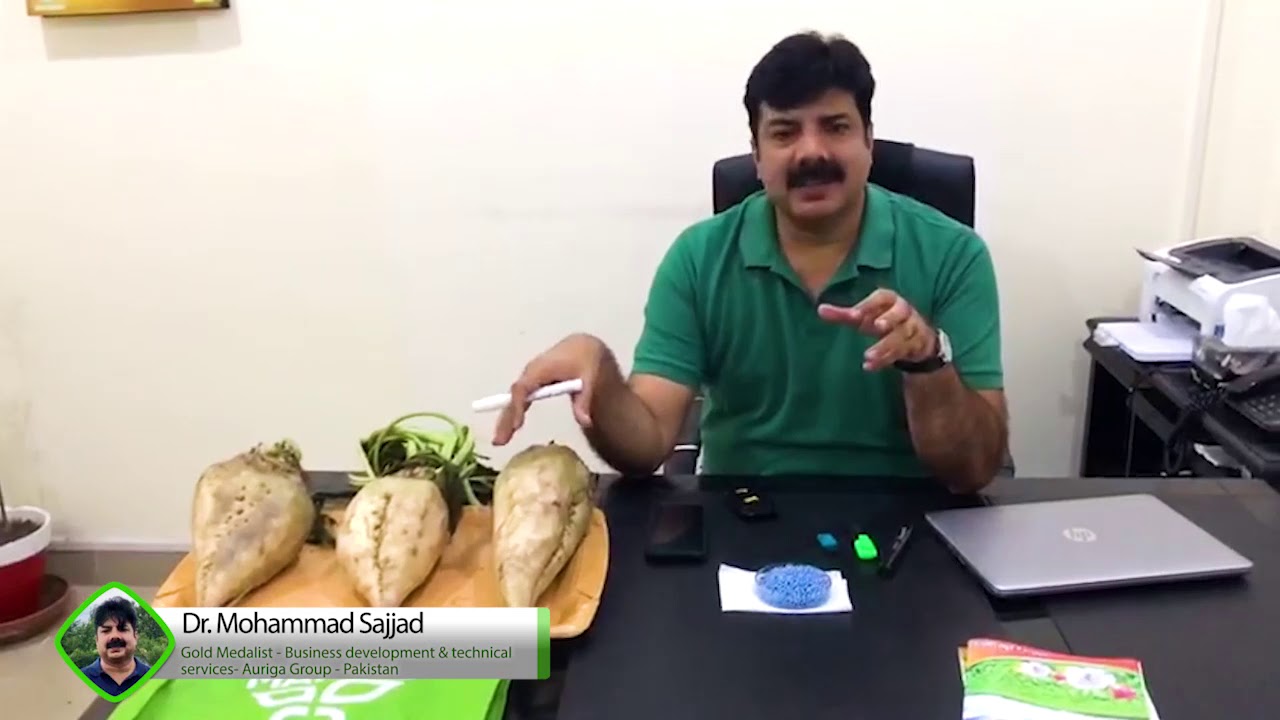 Sugar Beet - Maribo Hilleshög - Pakistan Sugar industry